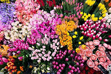 《实习班主任》角色剧情抢先看 奔赴属于各自的盛年