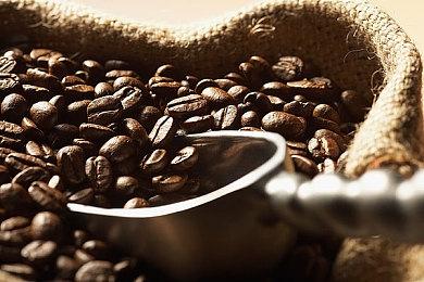 两款《开拓者》游戏开发中 《黄金魁犬》开发商负责